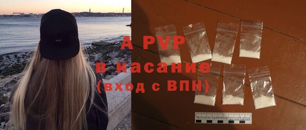 индика Медногорск