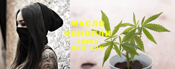 сатива Михайлов