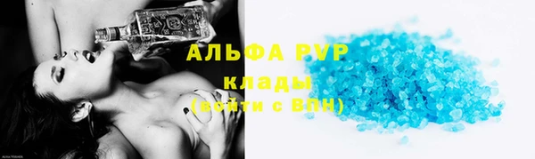 индика Медногорск