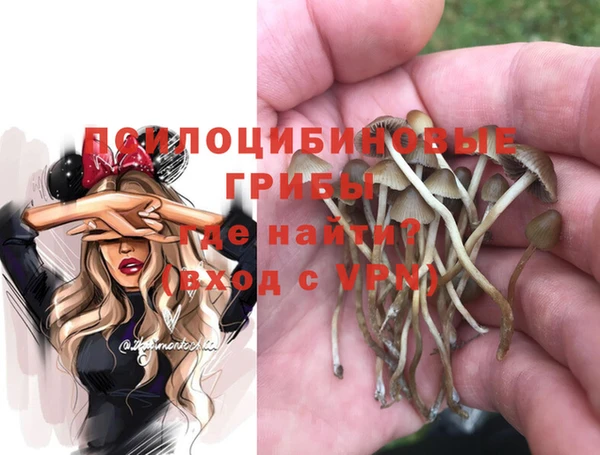 шишки Михайловка