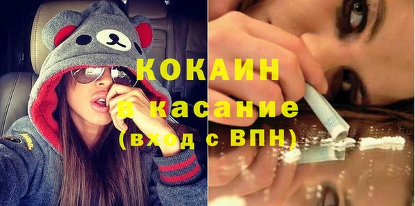 сатива Михайлов