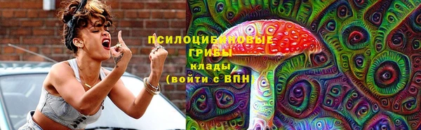шишки Михайловка