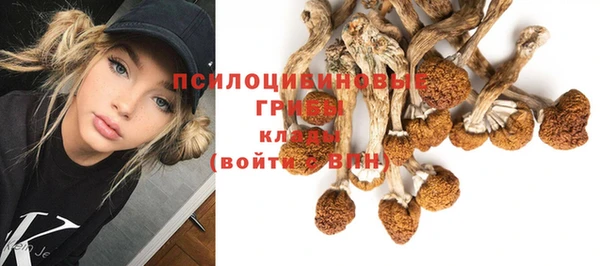 первитин Медвежьегорск