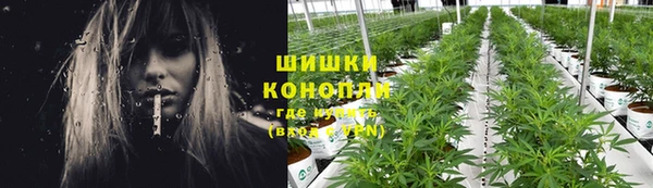 шишки Михайловка