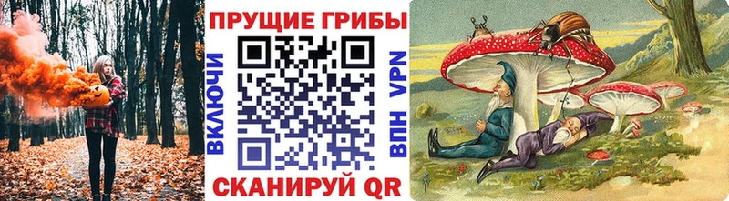 хочу   Стародуб  Галлюциногенные грибы ЛСД 